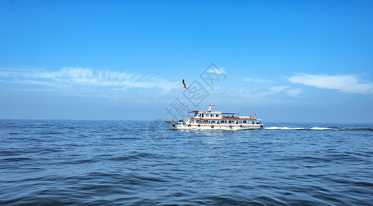大海中飞驰的游船高清图片
