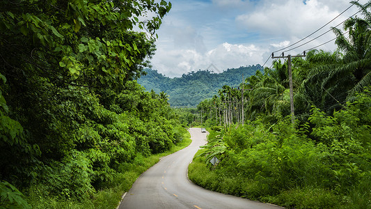 热带公路泰国春蓬热带森林雨林公路马路背景