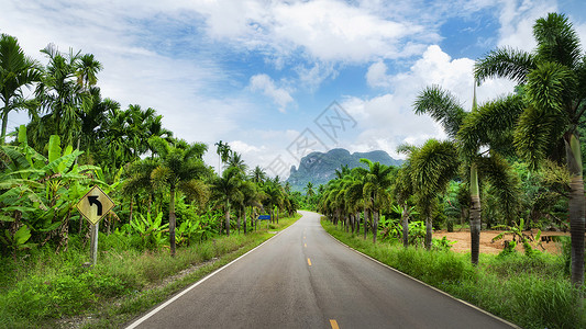 热带公路泰国春蓬热带森林雨林公路马路背景