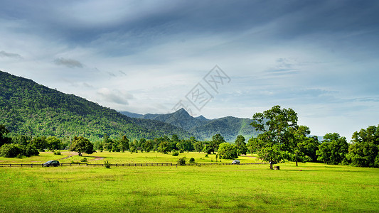 依拉草原泰国拉廊高山草甸自然风光背景