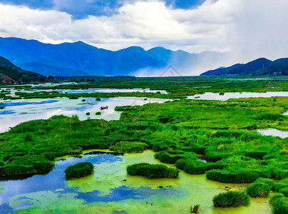 泸沽湖草海航拍背景