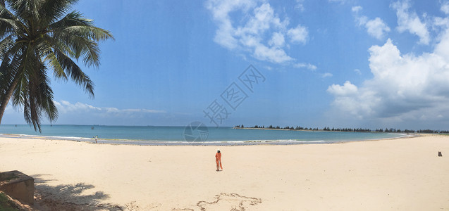 海 货船海南文昌东郊椰林沙滩背景