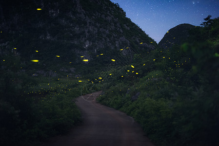 萤火虫星空农村水泥路高清图片