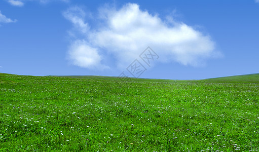 呼和塔拉草原景观背景图片