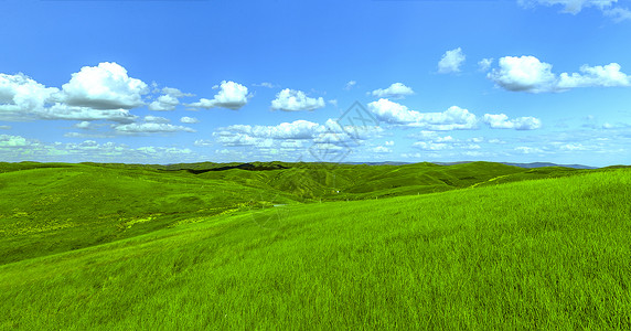 呼和浩特郊区夏季内蒙古大草原景观背景