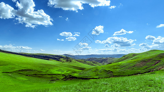 夏季内蒙古大草原景观背景图片