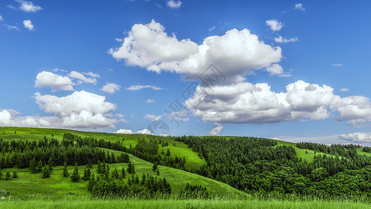 呼和浩特郊区内蒙古大草原森林景观背景