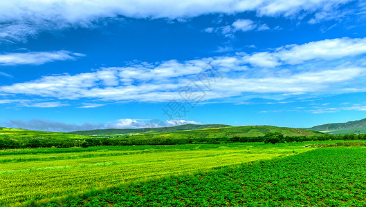 大青山脚下田园景色背景