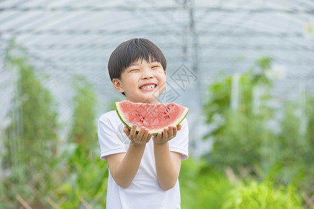 夏季小男孩小男孩开心吃西瓜背景