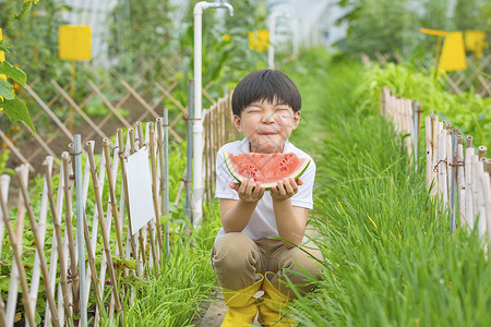 夏季小男孩小男孩开心吃西瓜背景