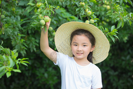 戴帽子小女孩摘果子图片