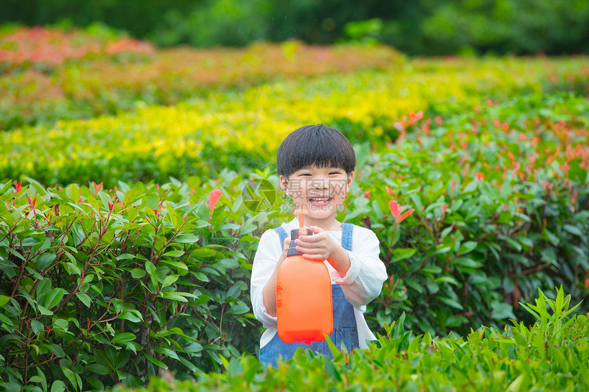 小男孩在花园里浇水图片