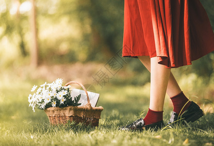 花篮里的花夏天清晨阳光下的唯美文艺女孩与花朵背景