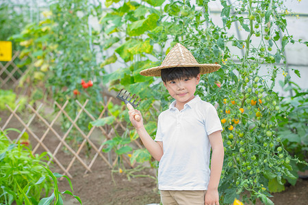 小男孩拿着耙子站在果树前面图片