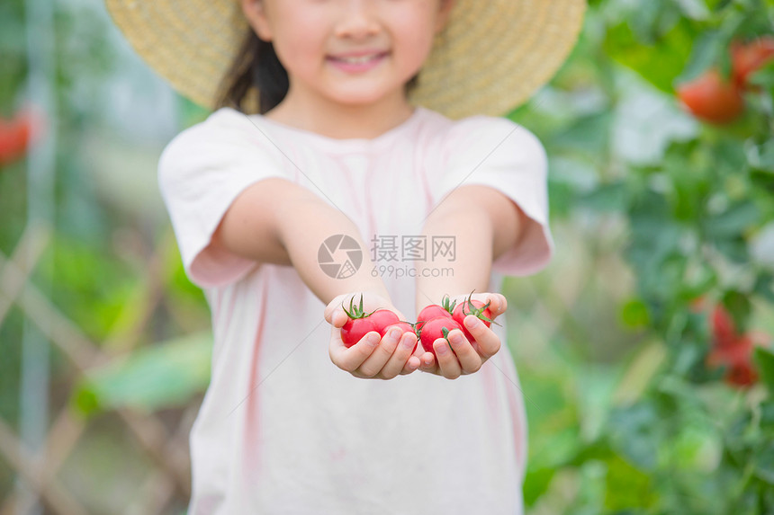 女孩手捧小西红柿图片