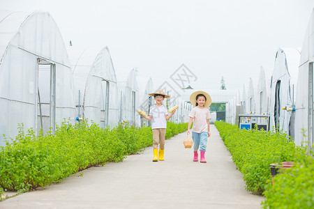 田间玩耍男孩和女孩在农村田间小路玩耍背景