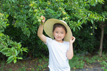 摘果子男孩小女孩在果园摘果子背景
