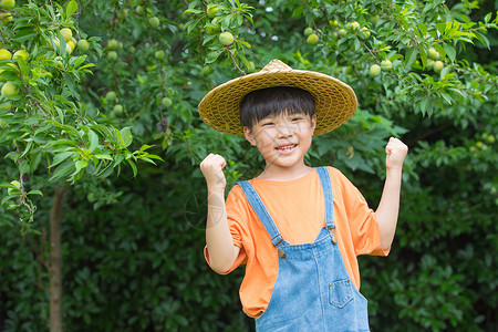 前面临选择果树前面快乐小男孩形象背景