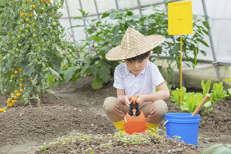 拿着水壶男孩小男孩在蔬菜大棚里面用碰水壶给种子浇水背景