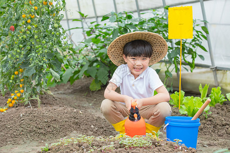 户外水壶小男孩在蔬菜大棚里面用碰水壶给种子浇水背景
