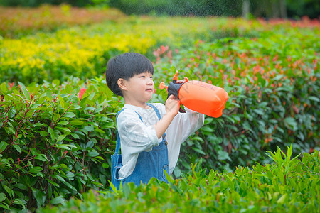 小男孩在植物从间使用喷水壶给植物浇水高清图片