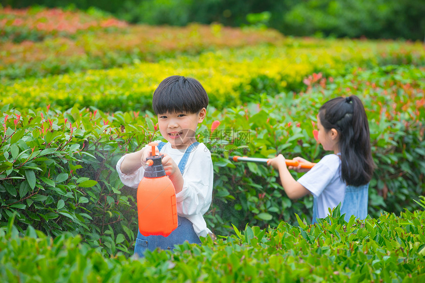 小男孩小女孩在植物从间照料植物图片