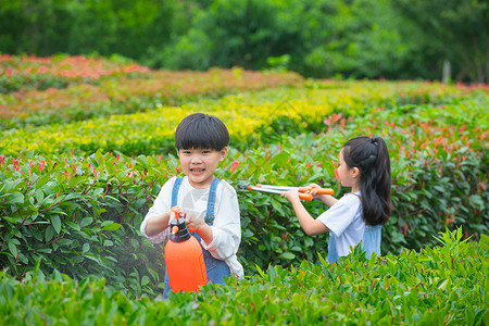 小男孩小女孩在植物从间照料植物图片