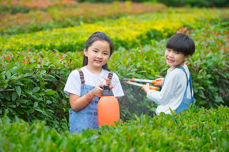 小男孩小女孩在植物从间照料植物图片