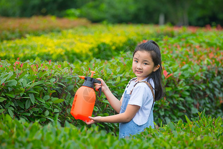 快乐的花园里小女孩花园里给树木洒水背景