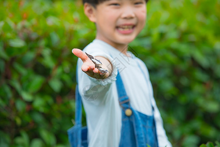 小男孩手捧蝴蝶特写图片