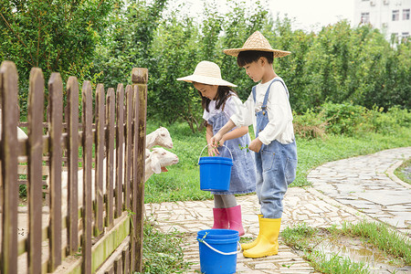 提着水桶的女孩质朴小孩们在羊圈旁提着桶子喂羊背景