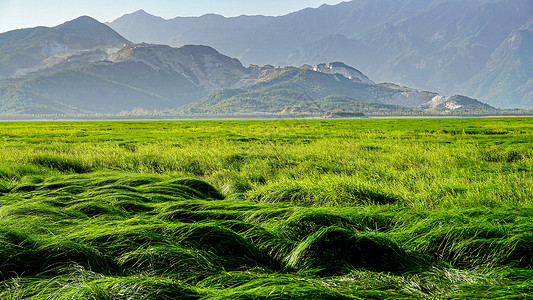 江西九江星子县鄱阳湖枯水期湖面现出草滩背景