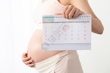 健康时间到孕妇手拿日历本背景