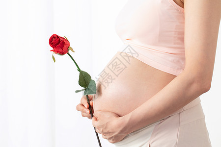 孕妇手拿玫瑰花高清图片