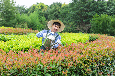 农场园丁提水桶为植物浇水图片