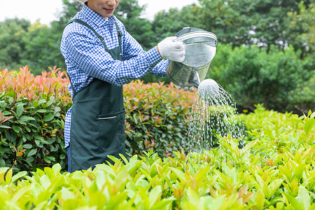 人物提水素材农场园丁提水桶为植物浇水背景