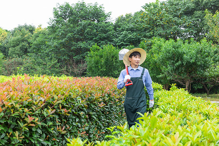 农场园丁修剪园艺植物图片