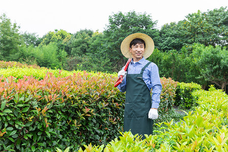 农场园丁修剪园艺植物图片