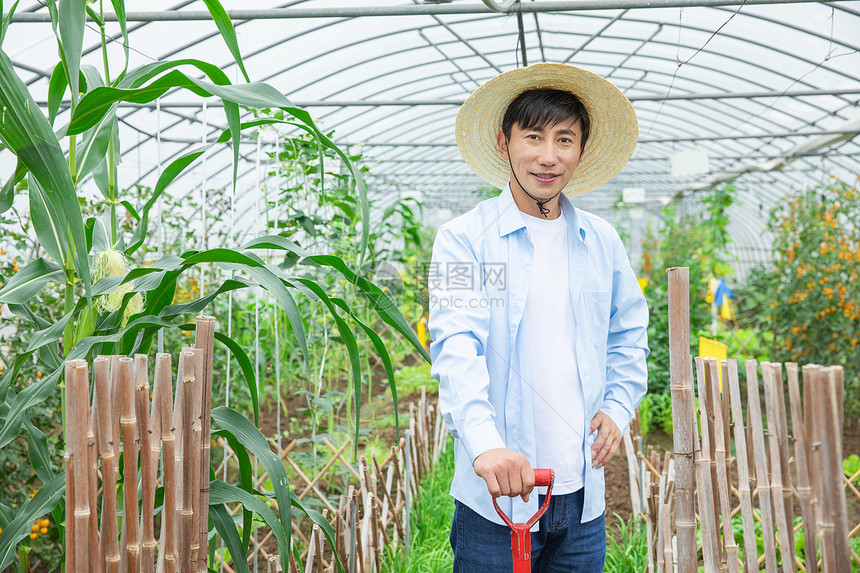 蔬菜种植大棚里农夫耕地图片