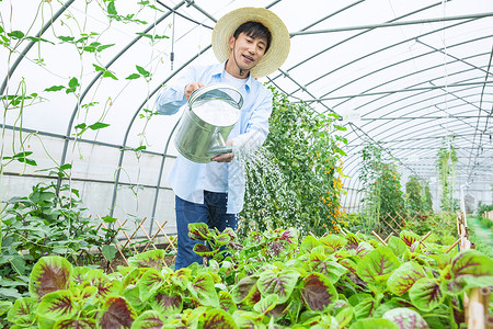 农夫给蔬菜浇水图片