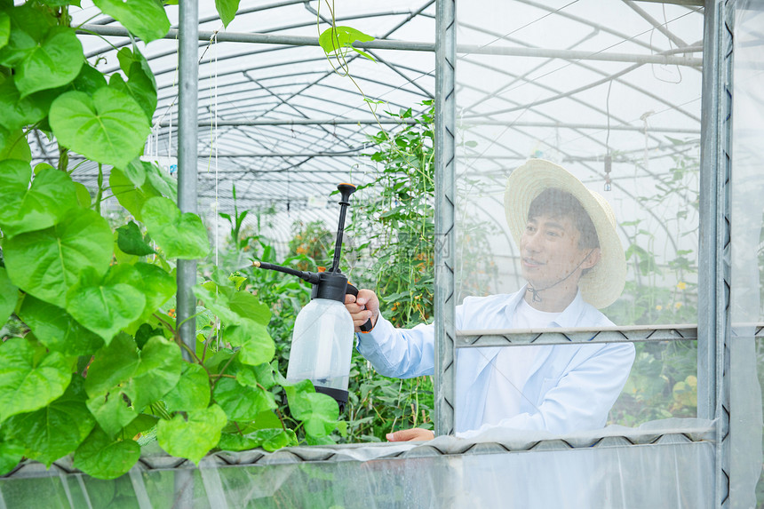 农夫给蔬菜大棚植物喷农药图片