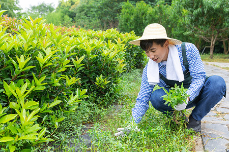 除草的男孩农夫在农场里摘杂草背景