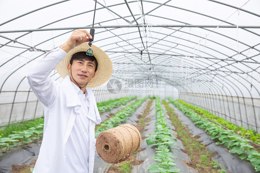 蔬菜大棚农夫挂麻绳图片