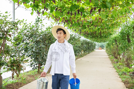 拎水桶志愿者水果种植园里的果农手拎水桶背景