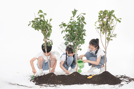 种树的学生儿童一起植树背景