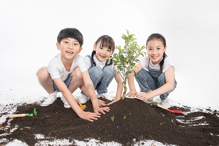 种树的学生儿童一起植树背景