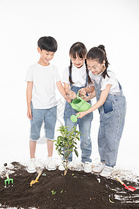 学生植树儿童一起植树背景