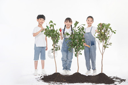 种树男孩女孩儿童一起植树背景