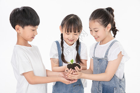 植树的女孩儿童手捧希望嫩芽背景