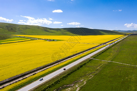 油菜花田旁道路图片